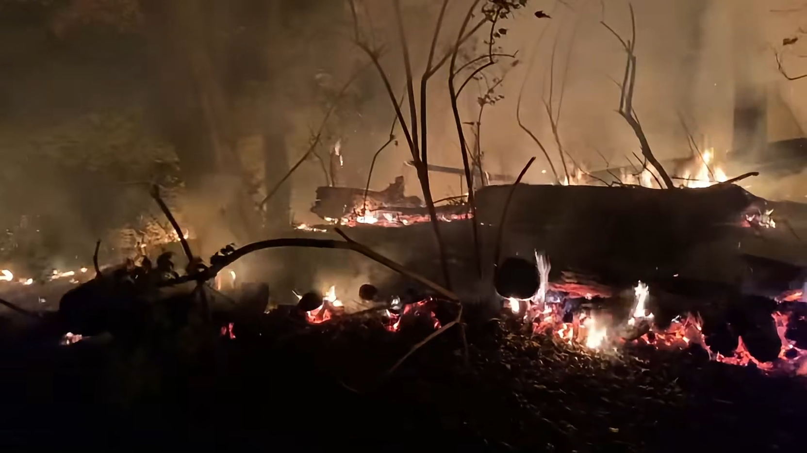 Firefighters battling a brush fire in Delhi Township